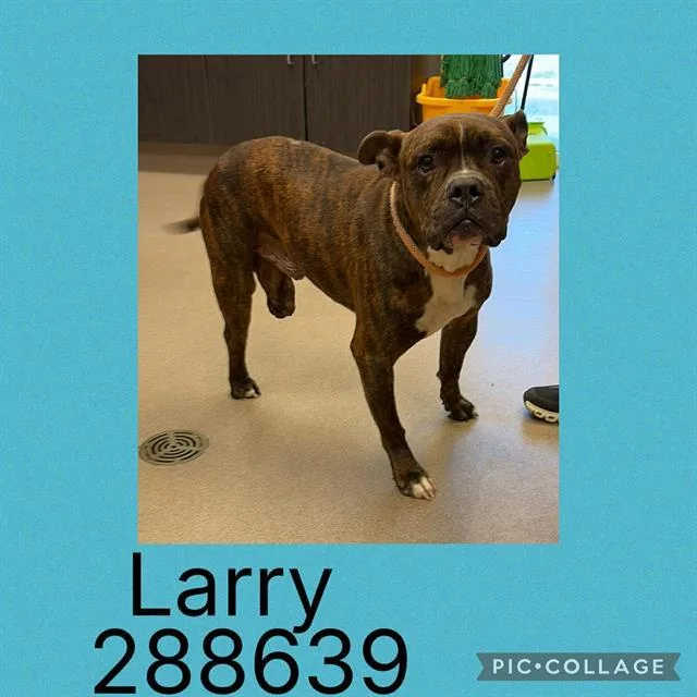 Larry