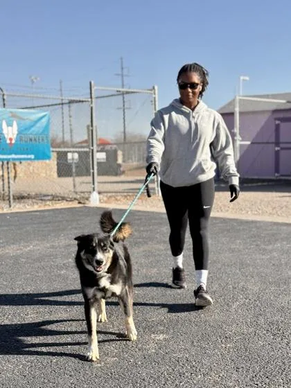 Chiquito thumbnail 5