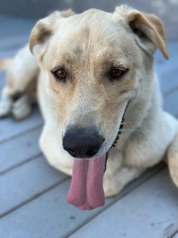 Max