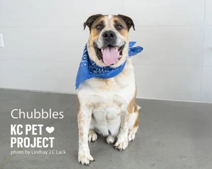 Chubbles thumbnail 2