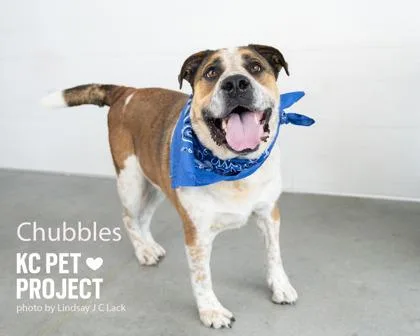 Chubbles thumbnail 3