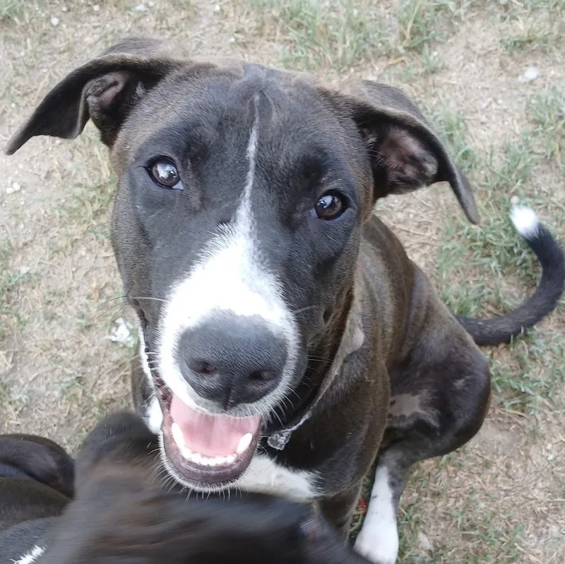 Moonlight thumbnail 3