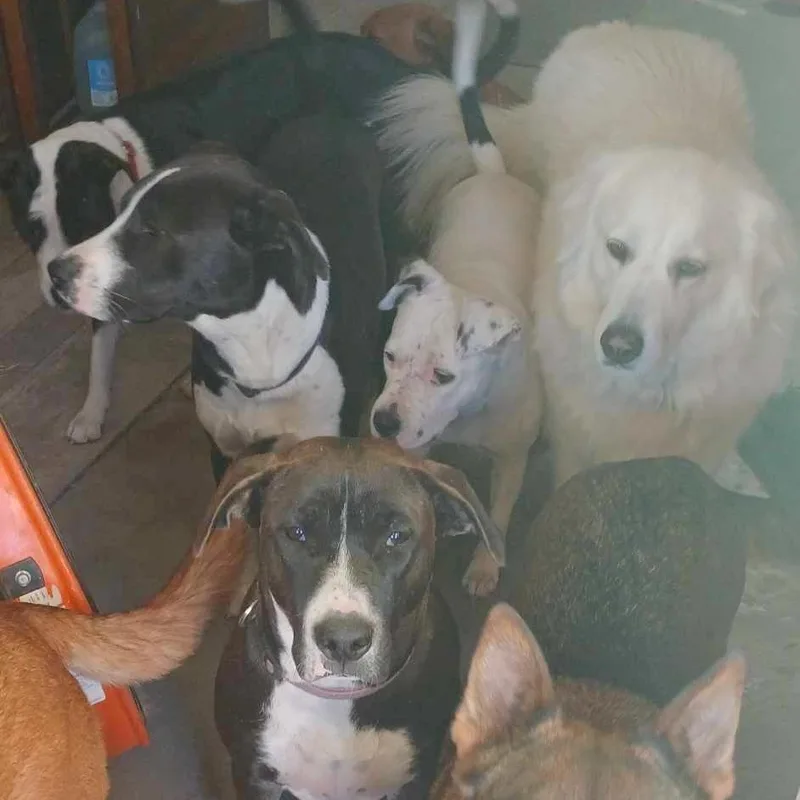 Moonlight thumbnail 5