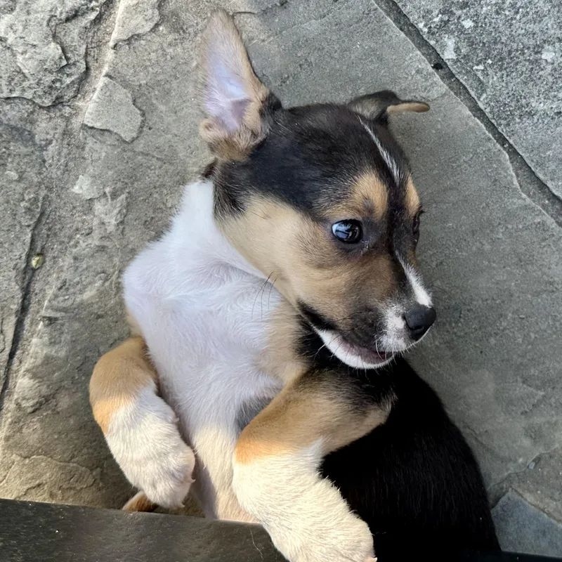 Dior Aka Diva thumbnail 5