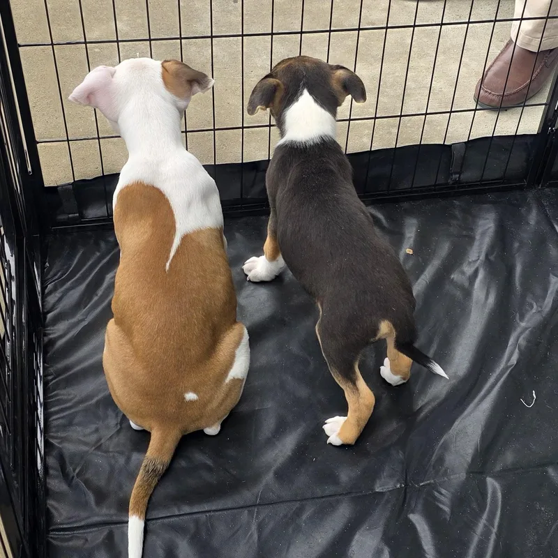 Dior Aka Diva thumbnail 6