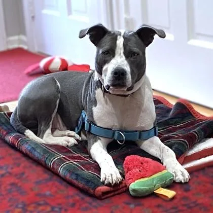 Scrunchy thumbnail 2