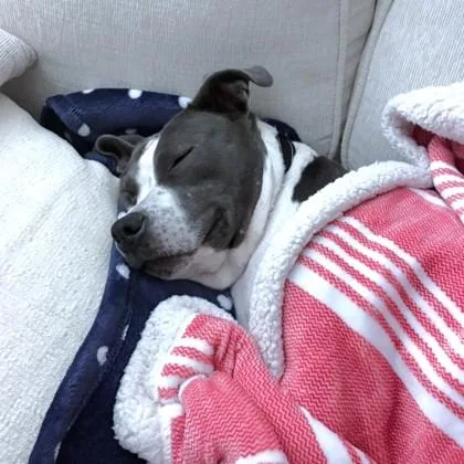 Scrunchy thumbnail 3