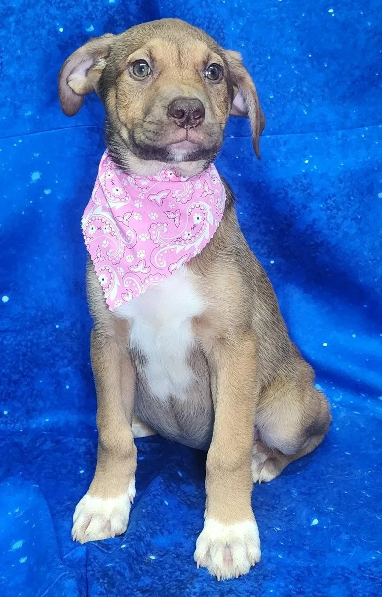 Nose Marie thumbnail 2