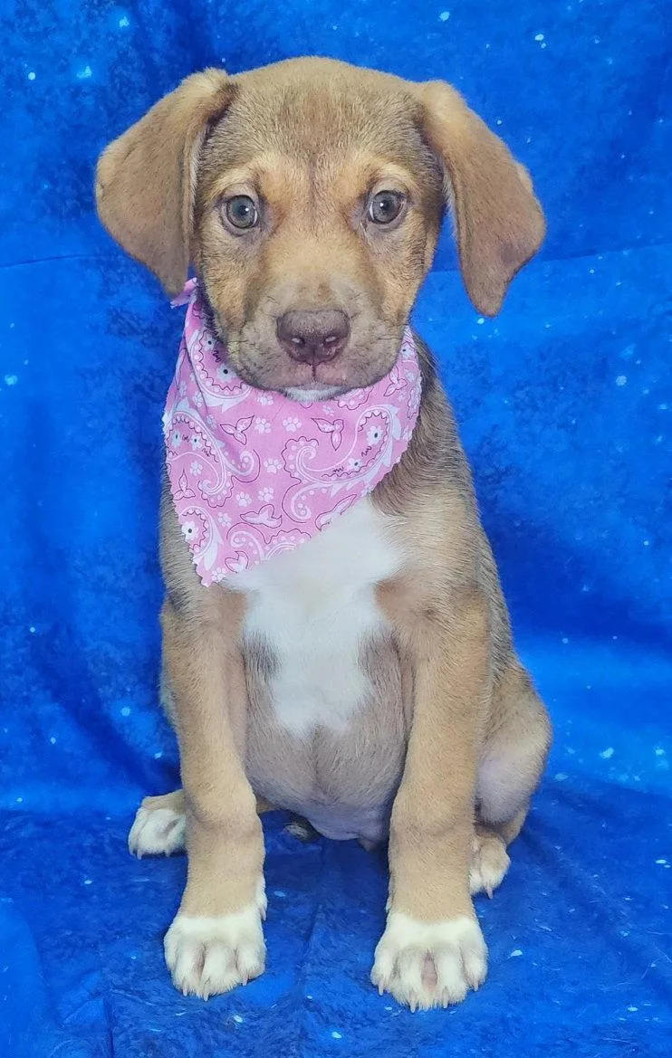 Nose Marie thumbnail 3