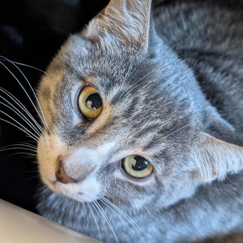 Timmy thumbnail 2