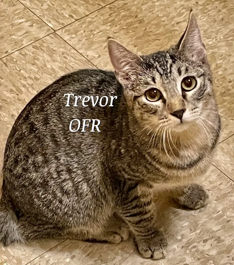 Trevor