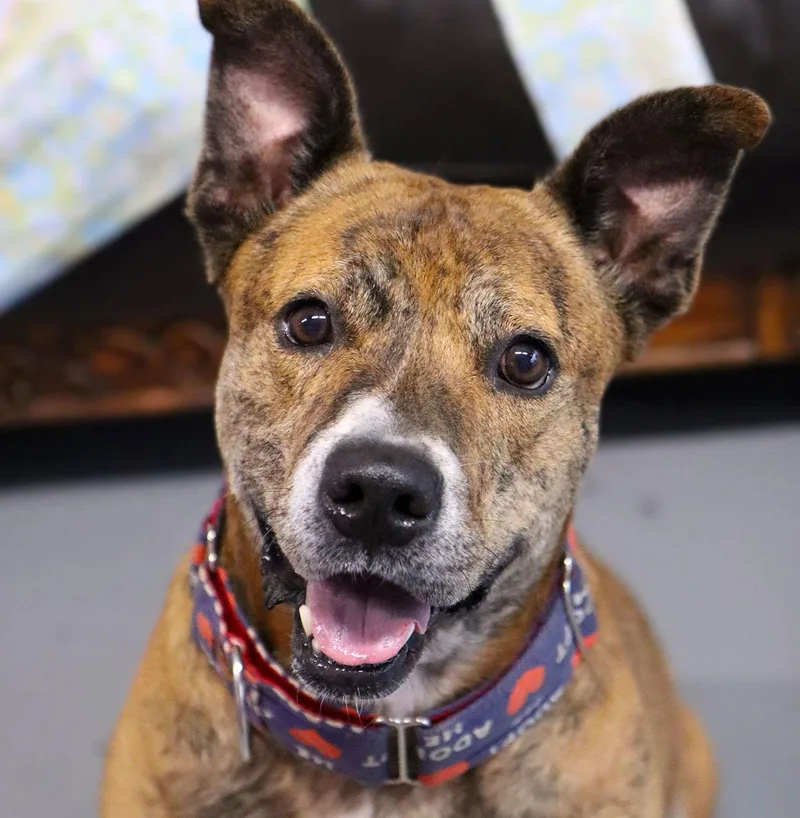 Mater Cl thumbnail 3