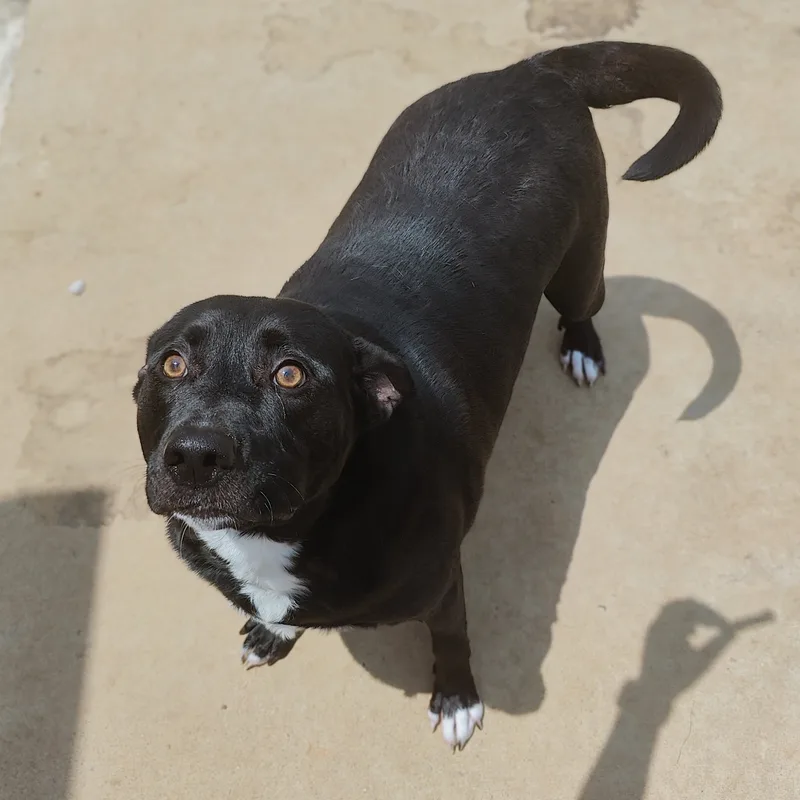 Freya Renee thumbnail 2