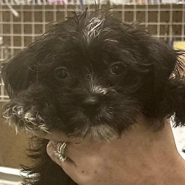 Baby Walter thumbnail 2
