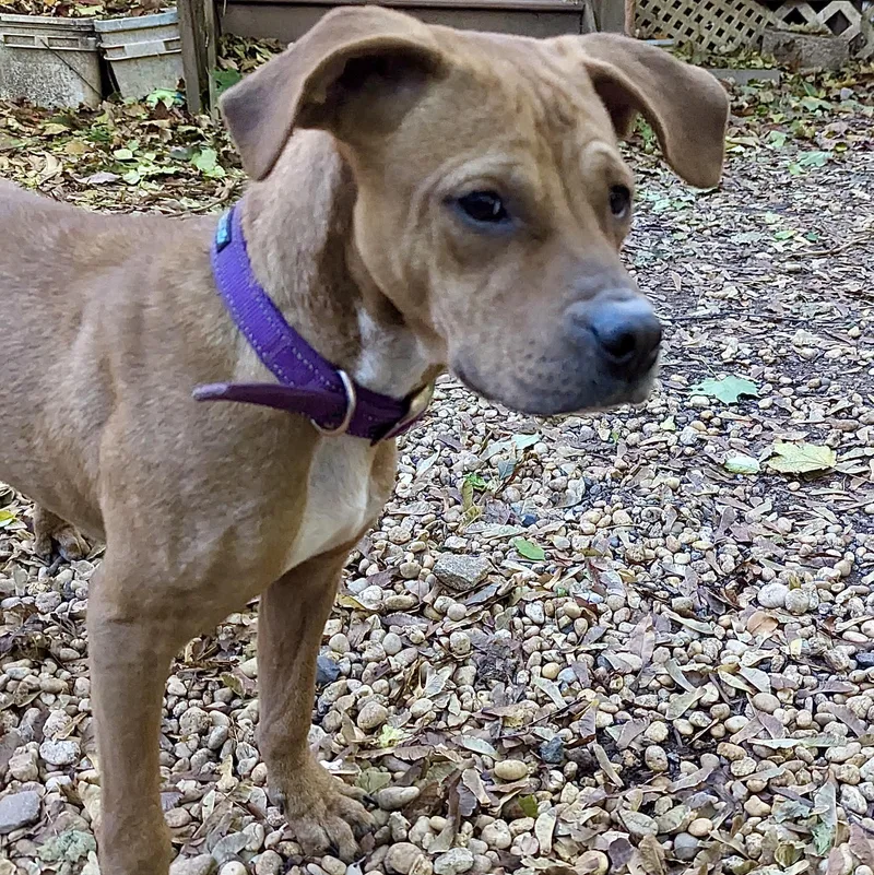 Little Man thumbnail 2