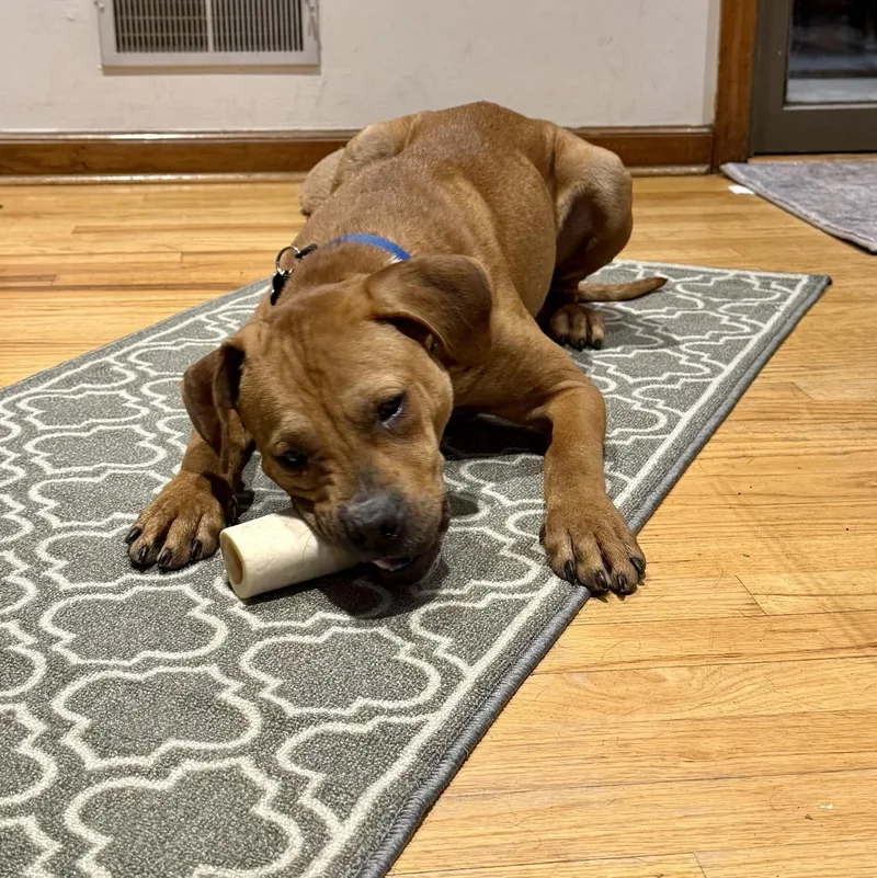 Little Man thumbnail 3