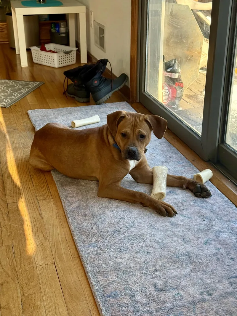 Little Man thumbnail 5