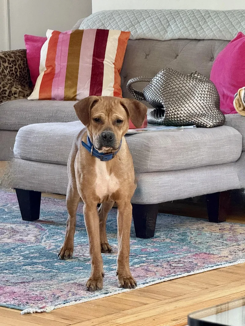 Little Man thumbnail 6