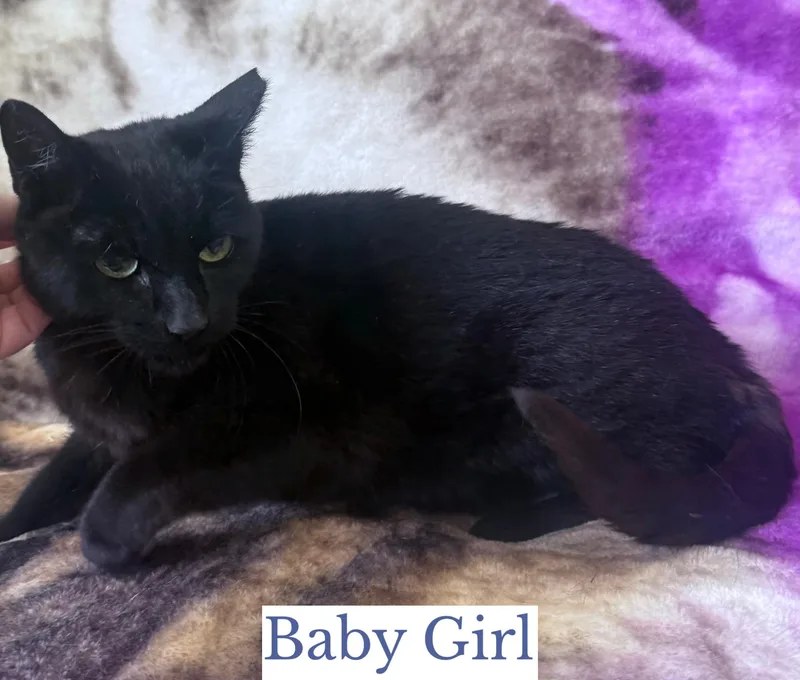 Baby Girl thumbnail 2