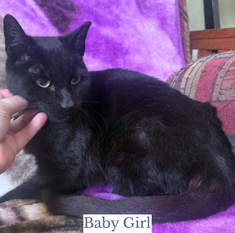 Baby Girl thumbnail 3
