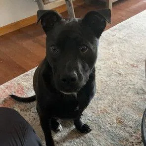 Zz Stryker~ Courtesy thumbnail 2