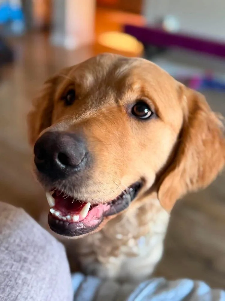 Tucker thumbnail 2