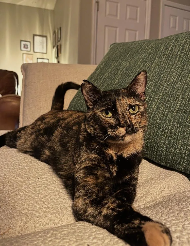 Ginny Weasley thumbnail 2