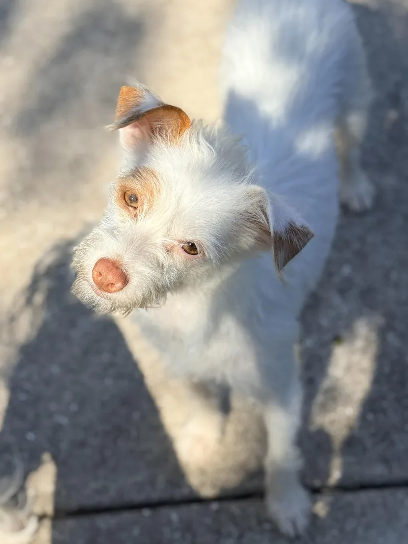 Matilda