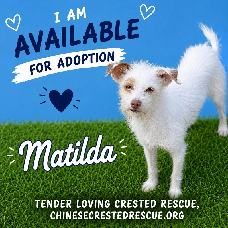Matilda thumbnail 6