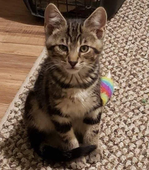 Baxter