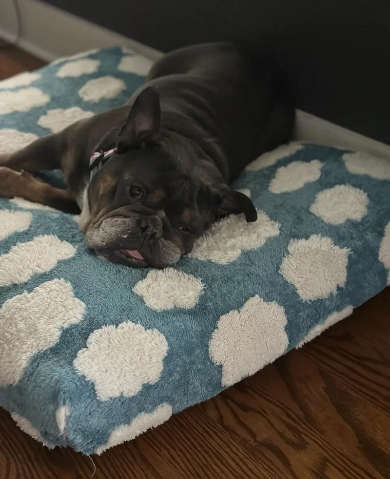Missy thumbnail 2