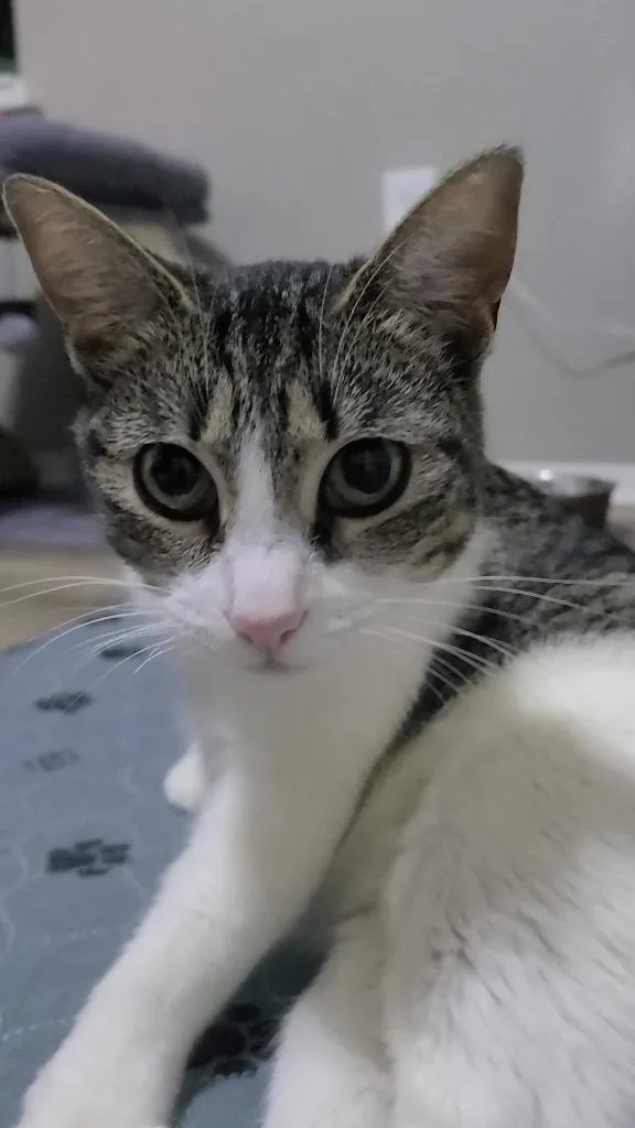 Eleanora thumbnail 2