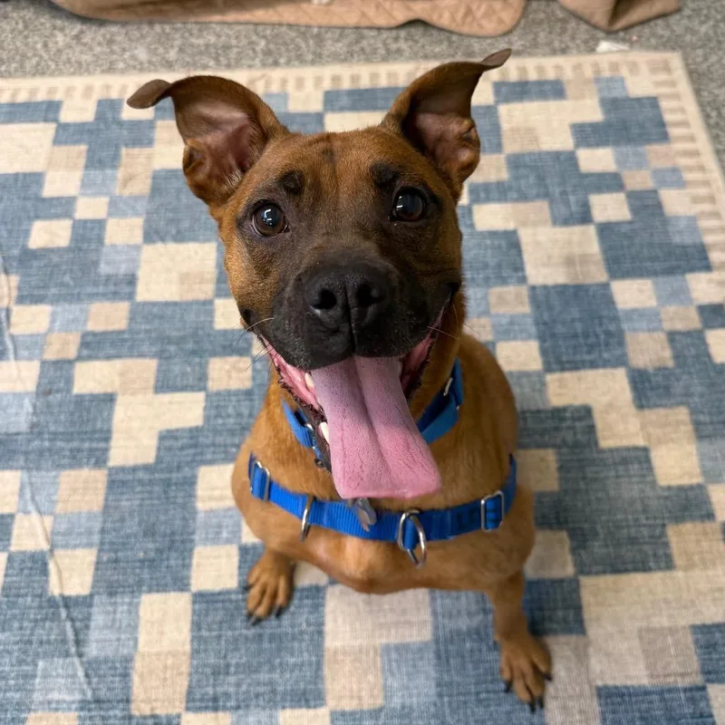 Maria Lee thumbnail 2