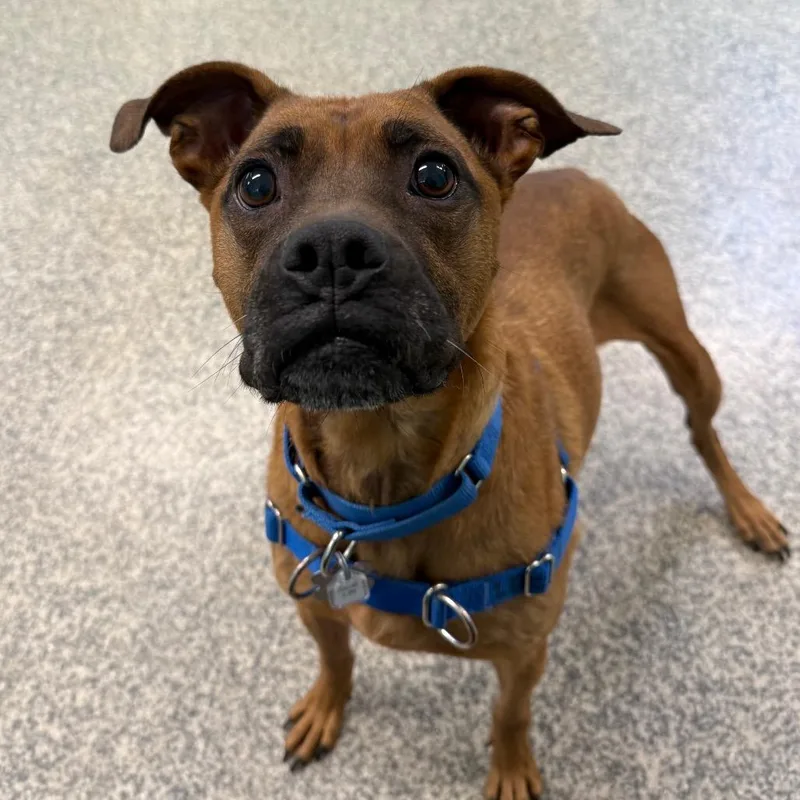 Maria Lee thumbnail 3