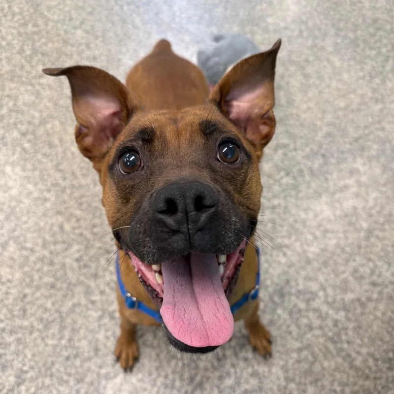 Maria Lee thumbnail 4