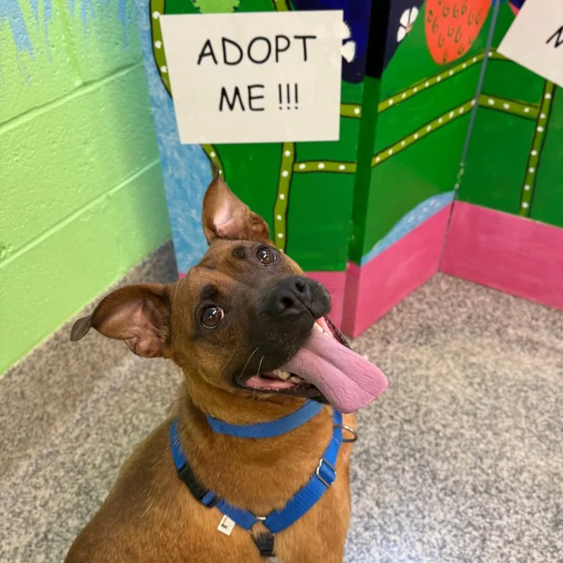 Maria Lee thumbnail 5