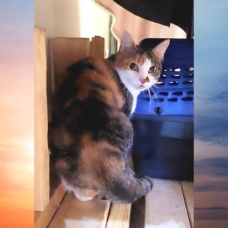 Snuggles thumbnail 2