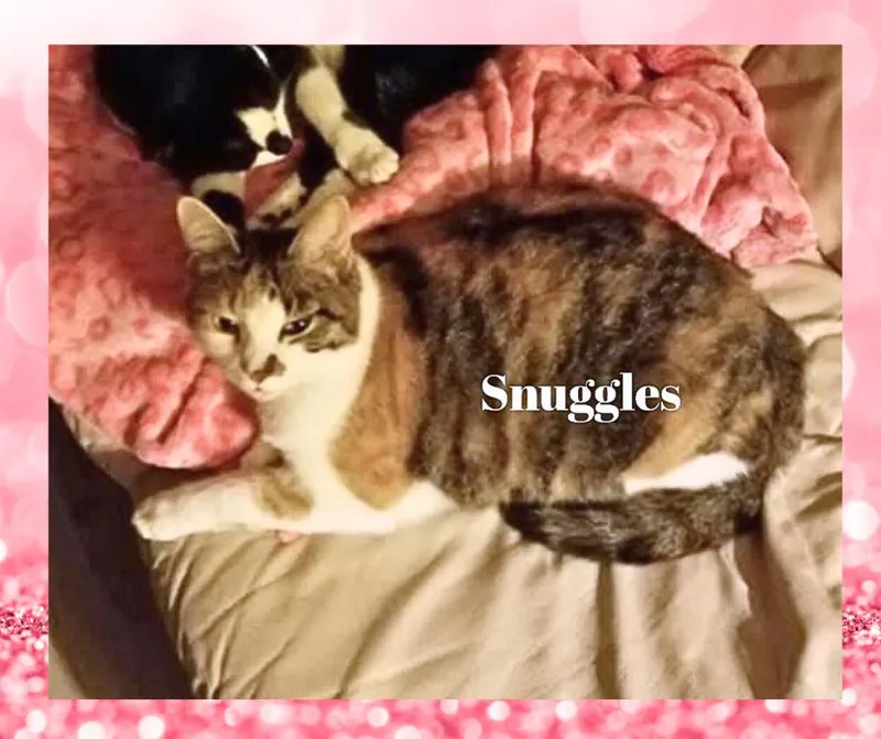 Snuggles thumbnail 3