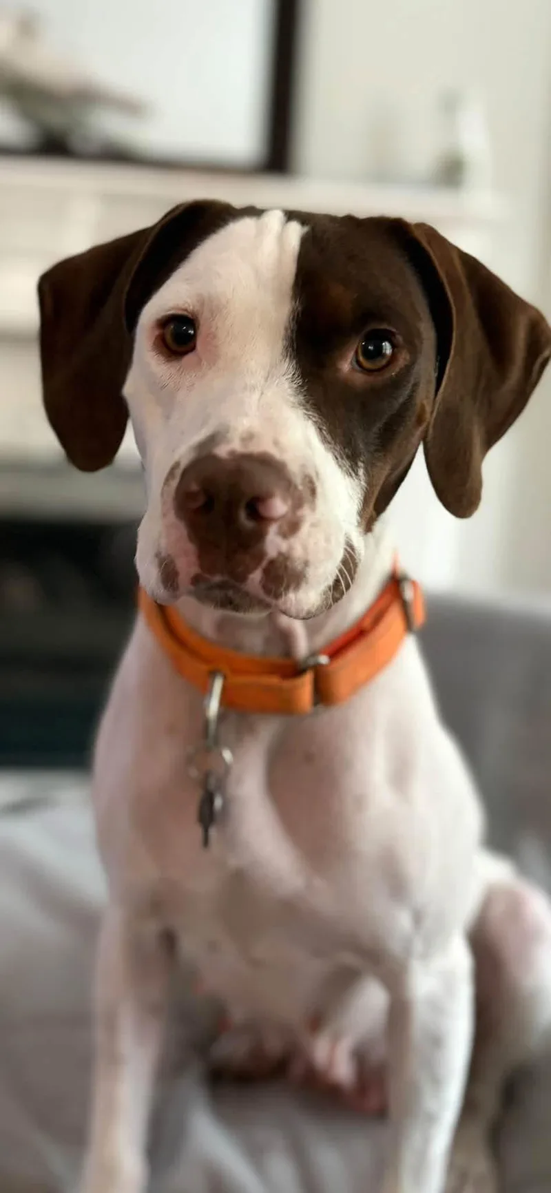 Ginny thumbnail 5