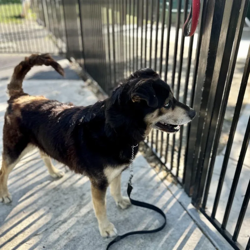 Cypher  Ecas thumbnail 2