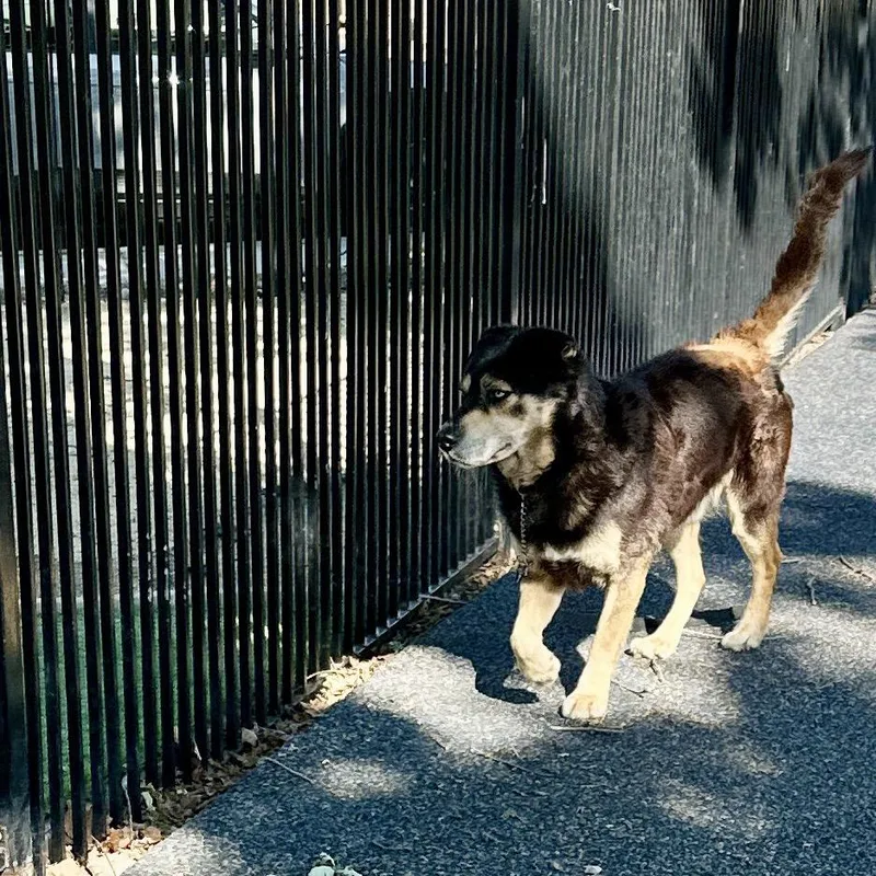 Cypher  Ecas thumbnail 3