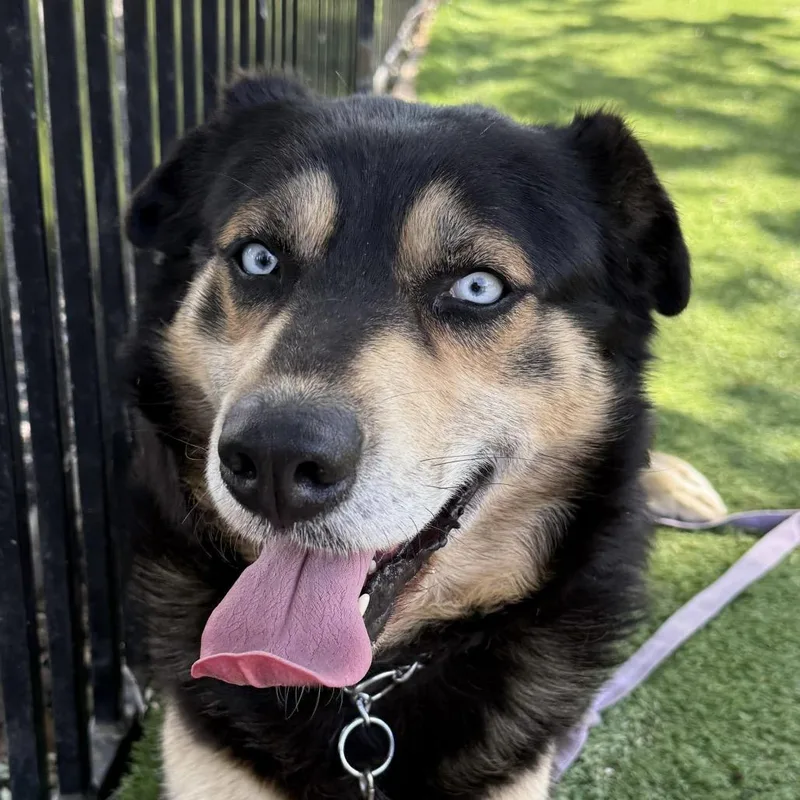 Cypher  Ecas thumbnail 4