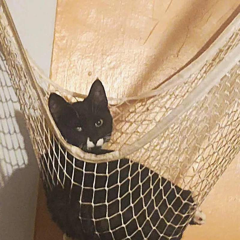 Figaro