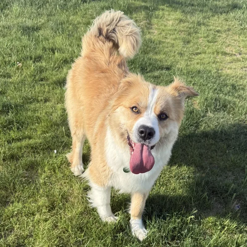 Lucy