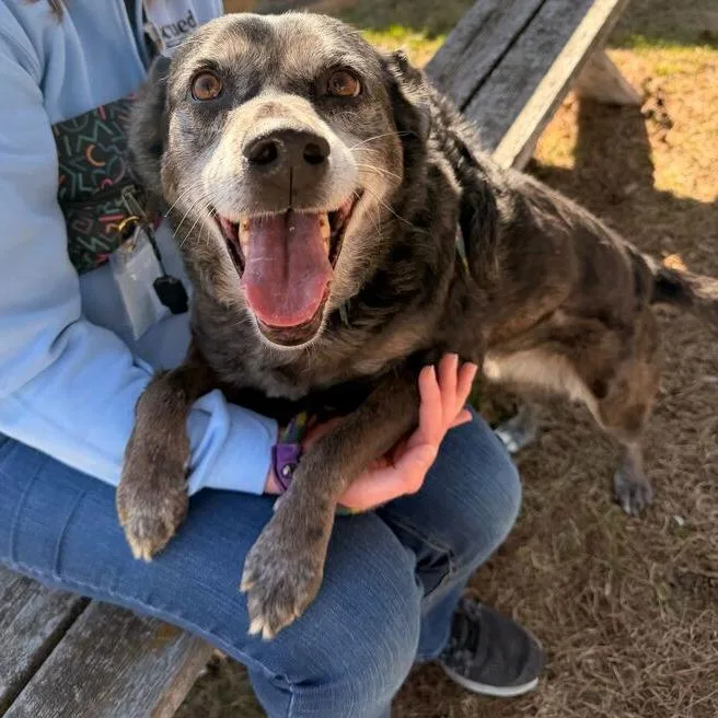 Hughella thumbnail 2