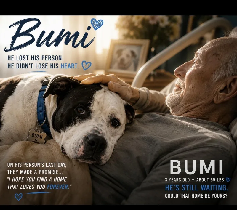 Bumi thumbnail 3