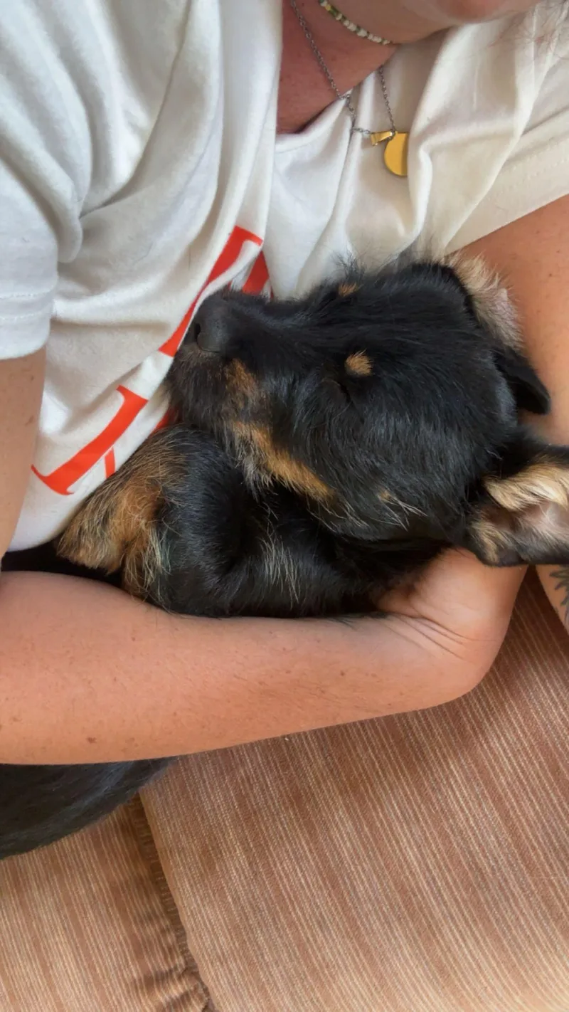 Ernie thumbnail 4