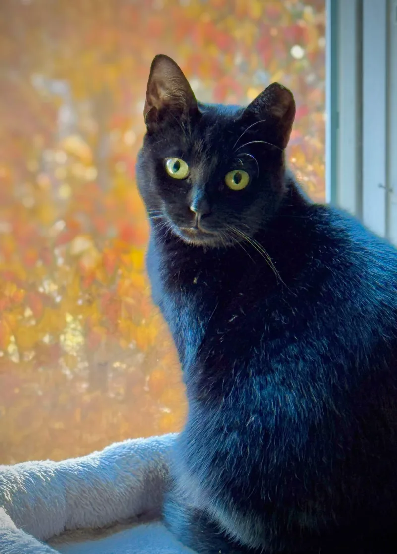 Baby And Finn thumbnail 2