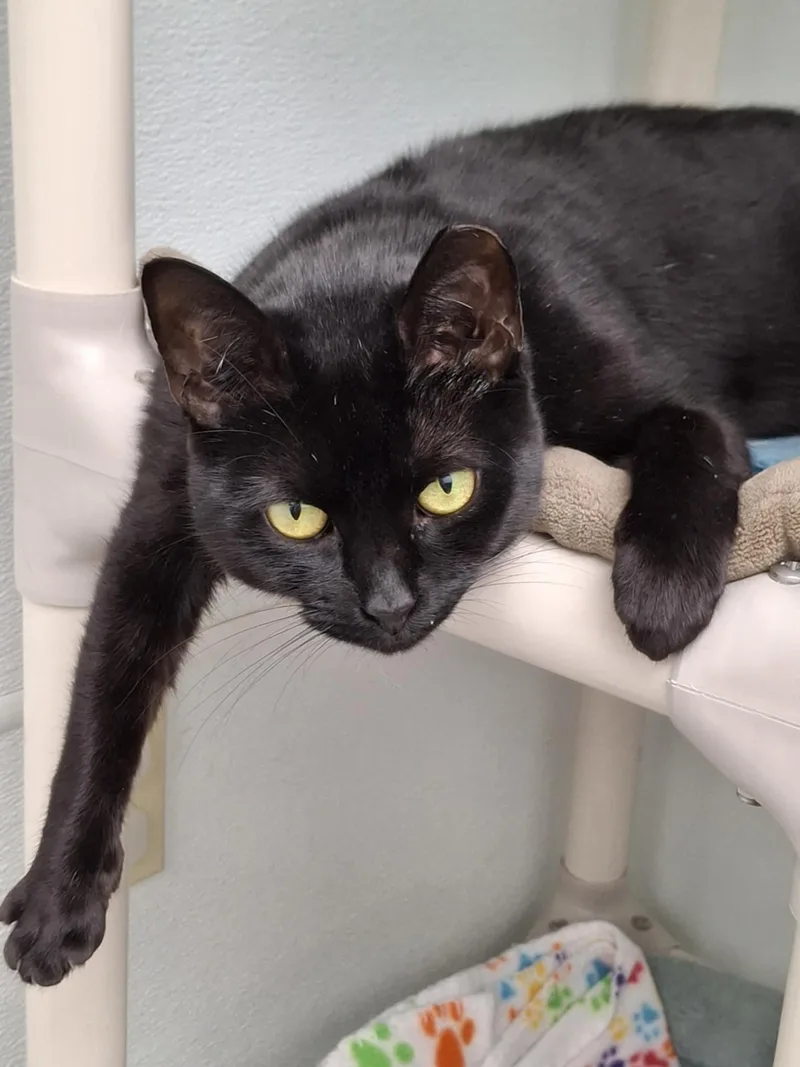 Baby And Finn thumbnail 3