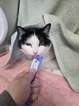 Precious thumbnail 2